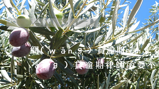 網(wǎng)貸逾期ems律師函(網(wǎng)貸逾期律師函要不要簽收)