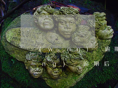網(wǎng)貸逾期houguo(網(wǎng)貸逾期后還清后多久才能恢復征信)