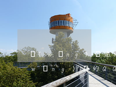 網(wǎng)貸逾期qq群(有沒有欠網(wǎng)貸的QQ交流群)
