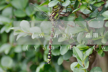 網(wǎng)貸逾期一個(gè)星期嚴(yán)重嗎(網(wǎng)貸逾期一個(gè)星期會怎么樣)