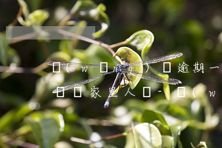 網(wǎng)貸逾期一個(gè)月打電話給家里人嗎-網(wǎng)貸逾期一個(gè)月會(huì)上門嗎