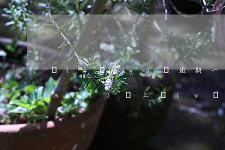 網(wǎng)貸逾期一個(gè)月沒(méi)還上(網(wǎng)貸逾期之后還了是不是就沒(méi)事了)