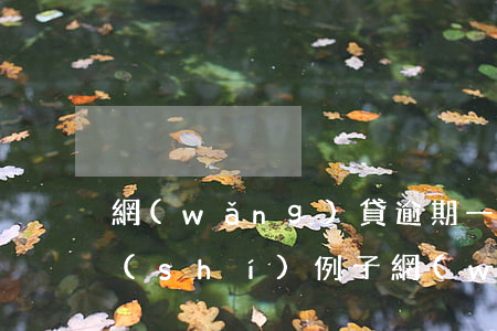 網(wǎng)貸逾期一個(gè)月真實(shí)例子(網(wǎng)貸逾期一個(gè)月真實(shí)例子)