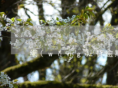 網(wǎng)貸逾期一個月了我好累