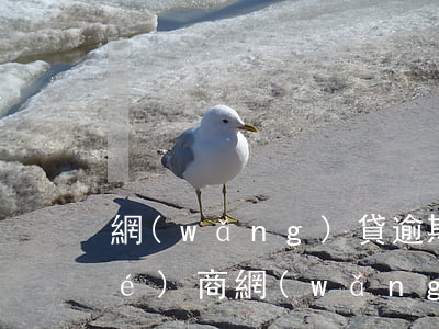 網(wǎng)貸逾期一個月如何協(xié)商(網(wǎng)貸逾期能協(xié)商嗎)