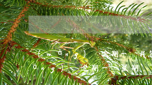 網(wǎng)貸逾期一個月怎么樣(網(wǎng)貸逾期一個星期會怎么樣)