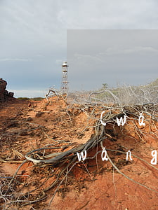 網(wǎng)貸逾期一個月會怎么樣(網(wǎng)貸逾期一個月會怎么樣嗎)