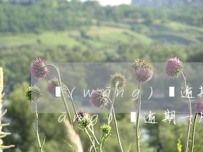 網(wǎng)貸逾期一個月有事嗎(網(wǎng)貸逾期一周內(nèi)會不會有影響)