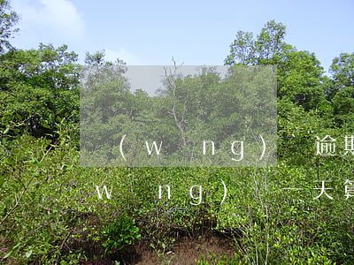網(wǎng)貸逾期一個月算多少次(網(wǎng)貸一天算逾期嗎嚴重嗎)
