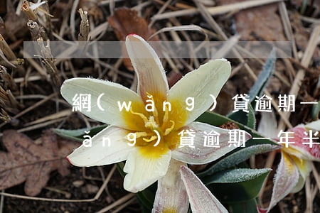 網(wǎng)貸逾期一個月還不到(網(wǎng)貸逾期一年半了)