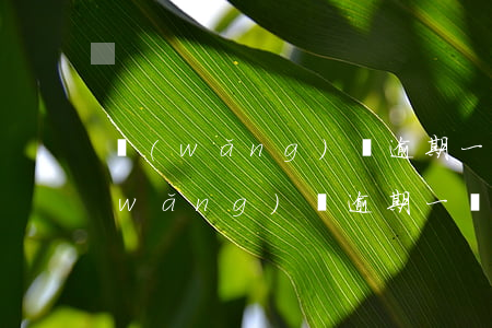 網(wǎng)貸逾期一個禮拜有事嗎(網(wǎng)貸逾期一個月)