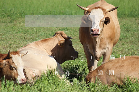 網(wǎng)貸逾期一兩天怎么處理(網(wǎng)貸逾期一兩天怎么處理)