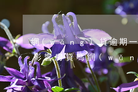 網(wǎng)貸逾期一兩次會(huì)影響房貸嗎 網(wǎng)貸逾期幾次影響買房