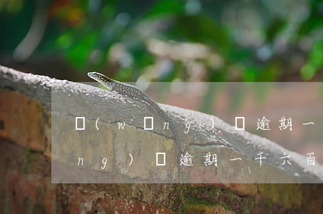 網(wǎng)貸逾期一千六百天(網(wǎng)貸逾期一千六百天怎么辦)