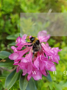 網(wǎng)貸逾期一千塊錢怎么辦(網(wǎng)貸逾期一千多天)