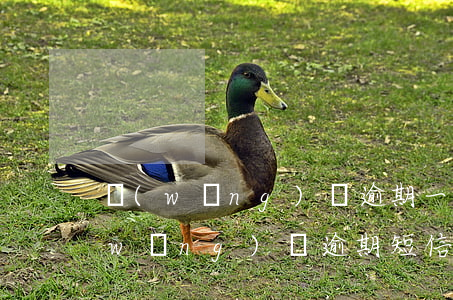 網(wǎng)貸逾期一堆注冊的短信(網(wǎng)貸逾期短信內(nèi)容)