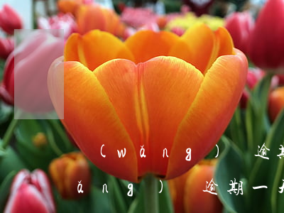 網(wǎng)貸逾期一天上抖音嗎(網(wǎng)貸逾期一天上抖音嗎)