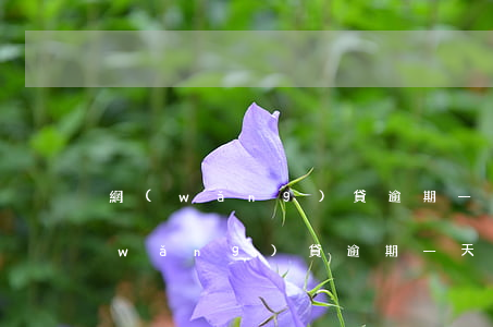 網(wǎng)貸逾期一天利息100(網(wǎng)貸逾期一天利息100)