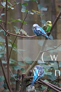網(wǎng)貸逾期一天利息d多少(網(wǎng)貸多少天算逾期)