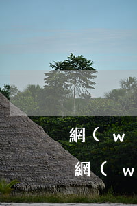 網(wǎng)貸逾期一天可以辦信用卡嗎（網(wǎng)貸逾期十天能辦信用卡嗎）