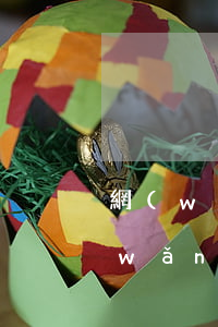 網(wǎng)貸逾期一天可以還多少(網(wǎng)貸逾期1天)