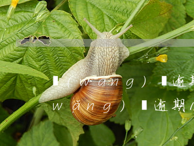網(wǎng)貸逾期一天多久上征信(網(wǎng)貸逾期1天上征信了怎么辦)