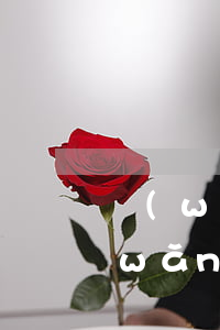 網(wǎng)貸逾期一天影響信用嗎(網(wǎng)貸逾期一個(gè)星期還上會(huì)影響征信嗎)