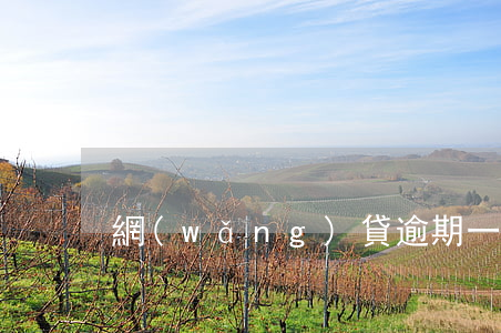 網(wǎng)貸逾期一天暴力還款
