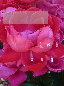 網(wǎng)貸逾期一天有沒有事(網(wǎng)貸不小心逾期一天怎么辦及時還了)