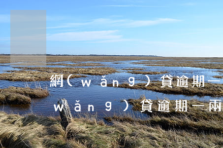 網(wǎng)貸逾期一天說會上征信(網(wǎng)貸逾期一兩天會影響征信嗎)