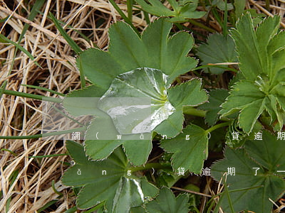 網(wǎng)貸逾期一天還不進去(網(wǎng)貸逾期了一天)