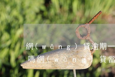 網(wǎng)貸逾期一天還完后還有額度嗎 網(wǎng)貸當(dāng)天還算逾期嗎