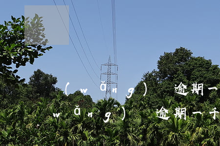網(wǎng)貸逾期一天需要多少錢(網(wǎng)貸逾期一千多天)