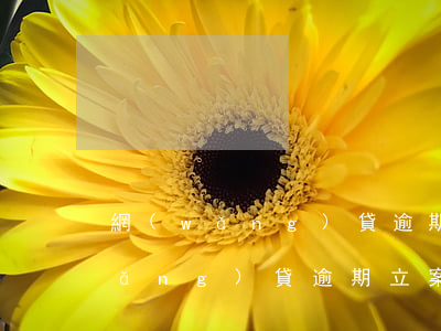 網(wǎng)貸逾期一審公告圖片(網(wǎng)貸逾期立案警示短信)