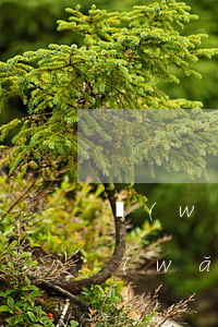 網(wǎng)貸逾期一小時(shí)(網(wǎng)貸逾期一小時(shí)立馬還上)