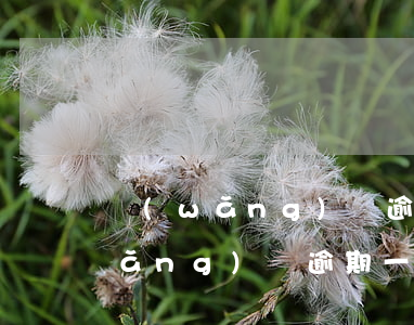 網(wǎng)貸逾期一年了不起訴(網(wǎng)貸逾期一年會被起訴嗎)
