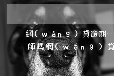 網(wǎng)貸逾期一年了想還可以找律師嗎(網(wǎng)貸逾期找律師真的有用嗎)