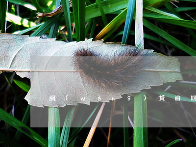 網(wǎng)貸逾期一年了能坐車嗎