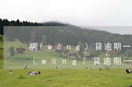 網(wǎng)貸逾期一年以上會起訴嗎(網(wǎng)貸逾期一個多月會被起訴嗎)