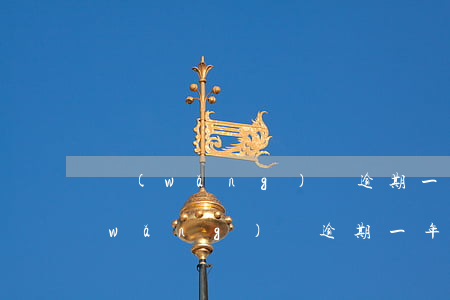 網(wǎng)貸逾期一年利息多少錢(網(wǎng)貸逾期一年了)