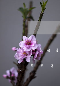 網(wǎng)貸逾期一年可以還嗎(網(wǎng)貸逾期一年半了)