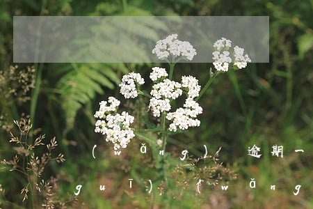 網(wǎng)貸逾期一年多少合理(正規(guī)網(wǎng)貸逾期一年)