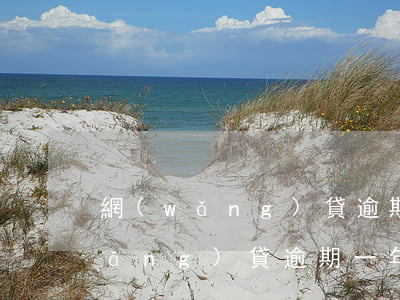 網(wǎng)貸逾期一年怎么處理(網(wǎng)貸逾期一年怎么處理)