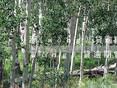網(wǎng)貸逾期一年會被拘留嗎(網(wǎng)貸逾期會被抓嗎)
