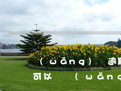 網(wǎng)貸逾期一年沒(méi)還可以嗎(網(wǎng)貸逾期半年了沒(méi)還,以后還要還嗎)