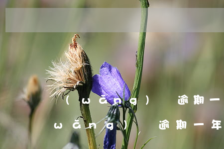 網(wǎng)貸逾期一年說上門走訪(網(wǎng)貸逾期一年說上門走訪)