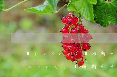 網(wǎng)貸逾期一年車貸能過嗎(網(wǎng)貸逾期可以辦車貸嗎)