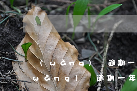 網(wǎng)貸逾期一年違約金多少(網(wǎng)貸逾期一年違約金多少)