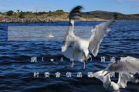 網(wǎng)貸逾期一星期發(fā)到村委會信函嗎-網(wǎng)貸逾期一星期發(fā)到村委會信函嗎是真的嗎
