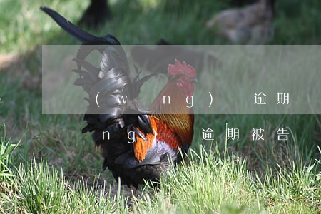 網(wǎng)貸逾期一星期被起訴(網(wǎng)貸逾期被告)